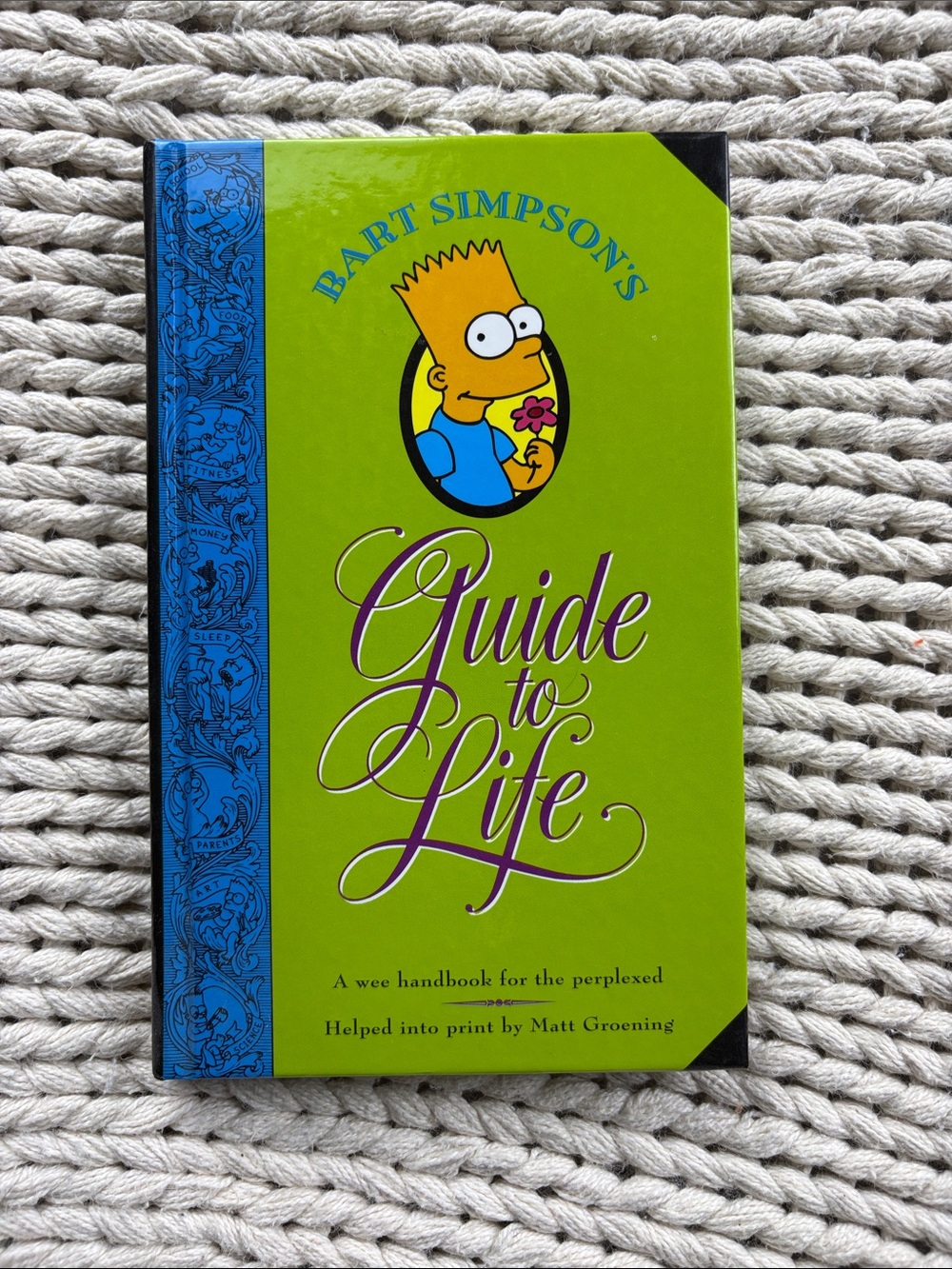 Bart Simpson's Guide to Life